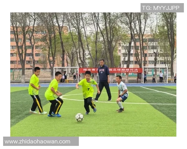 当裁判的足球明星如何在绿茵场上平衡公正与激情的双重角色