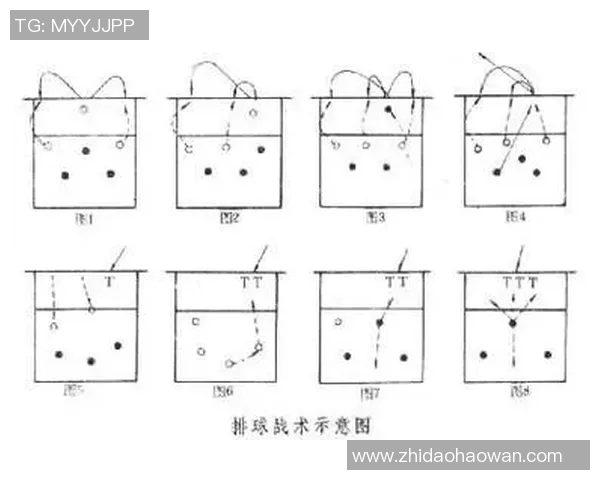 成都排球队的转换打法深度分析与战术创新探讨